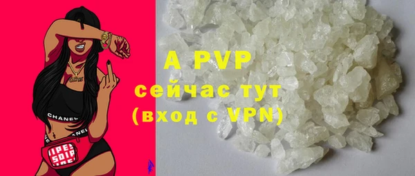 прущая мука Вяземский