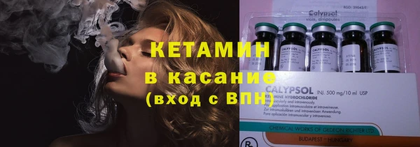 прущая мука Вяземский