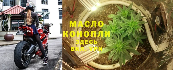 прущая мука Вяземский