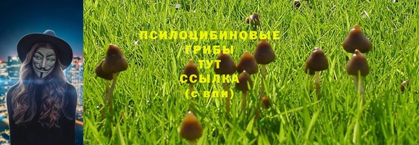 наркотики Горняк