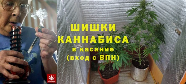 spice Горнозаводск