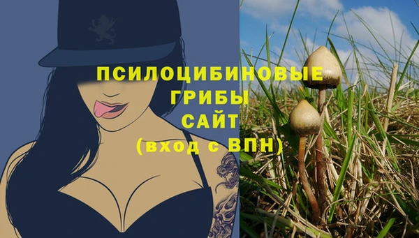 прущая мука Вяземский