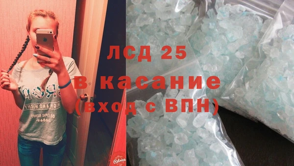 прущая мука Вяземский