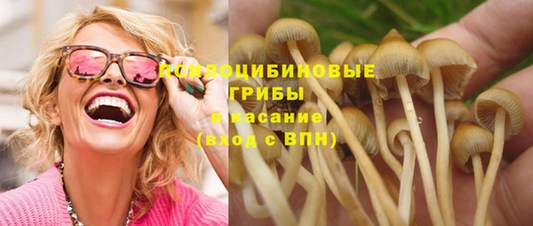 spice Горнозаводск