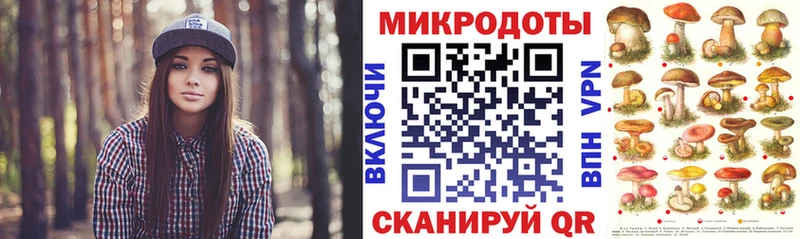 Купить где Мариинский Посад Галлюциногенные грибы Psilocybe